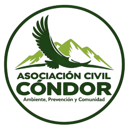 Asociación civil condor